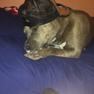 Meet your Posher, Erik